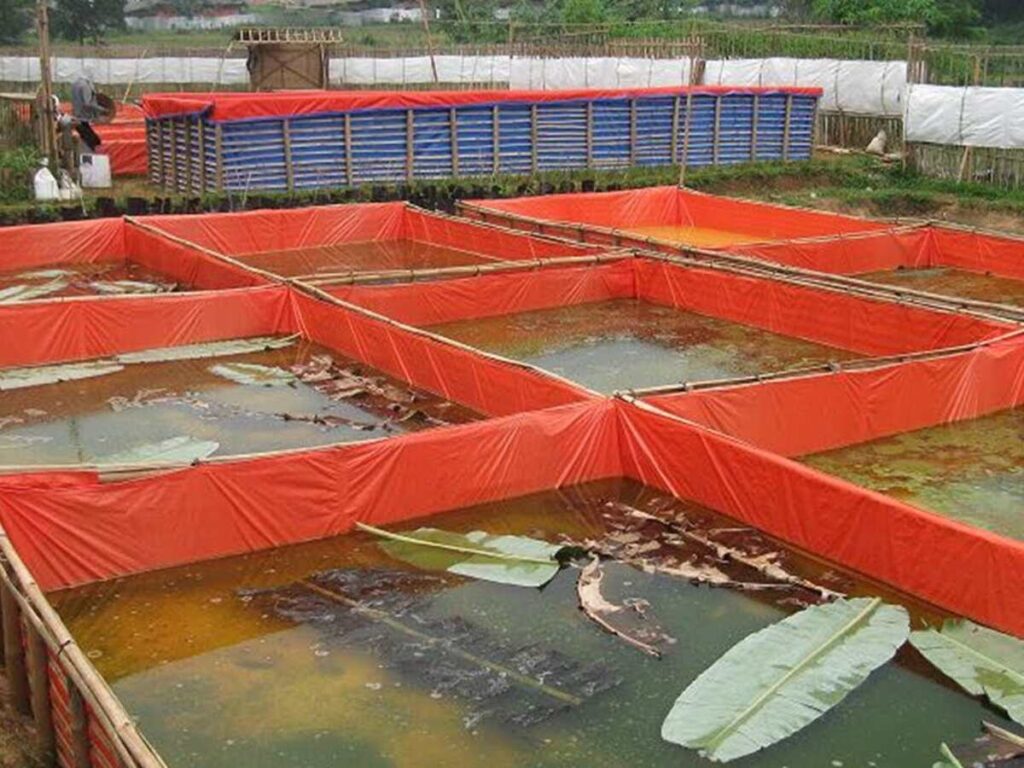 Jual Terpal Kolam Lele di Palembang