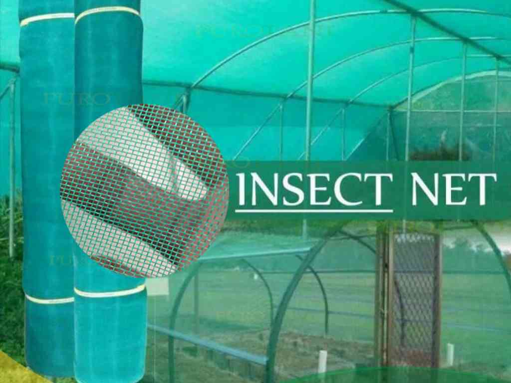 SCREEN NET HIJAU DI PALEMBANG