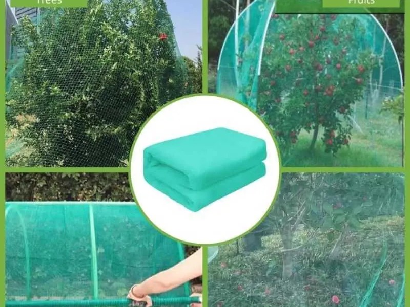 JARING PROYEK KASA HIJAU DI PALEMBANG