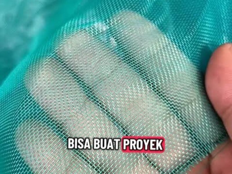 KASA HIJAU MESH 50 DI PALEMBANG